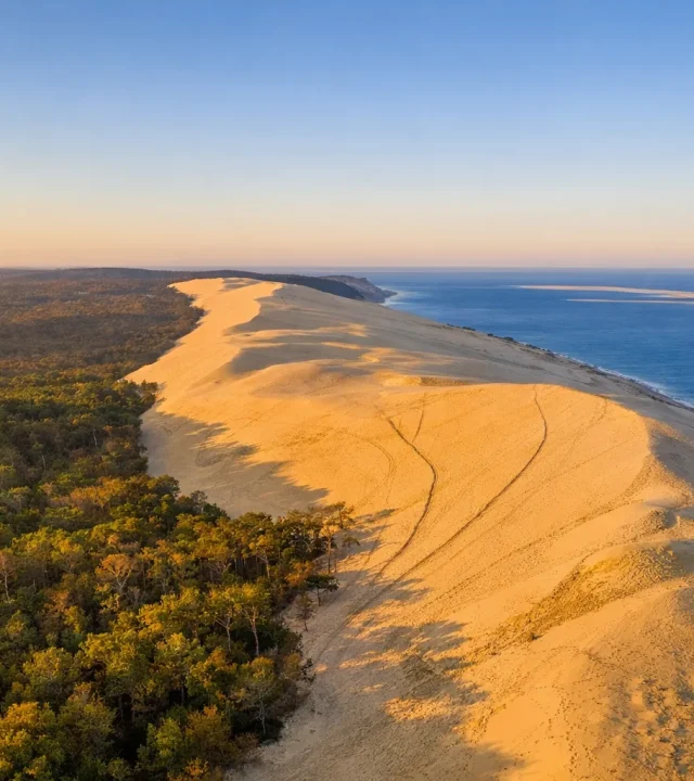 Dirigeants du Bassin d Arcachon